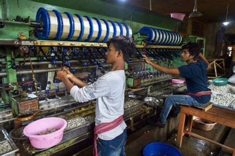  Oruga, ¡Una Pequeña Fábrica de Seda Viviente!