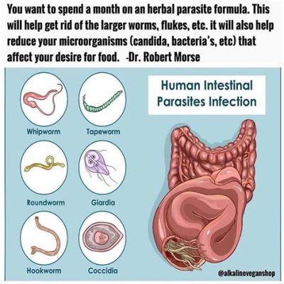  Zoogonus!  Una mirada fascinante al parasito que hace del intestino su hogar.